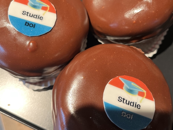 Studie bol&nbsp;5 + 1 gratis